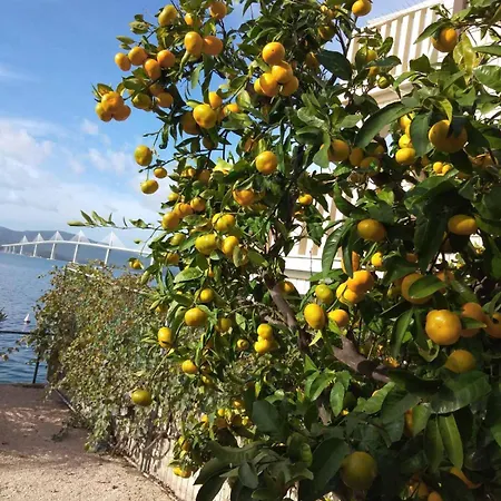 아파트 Nedjeljka 클레크