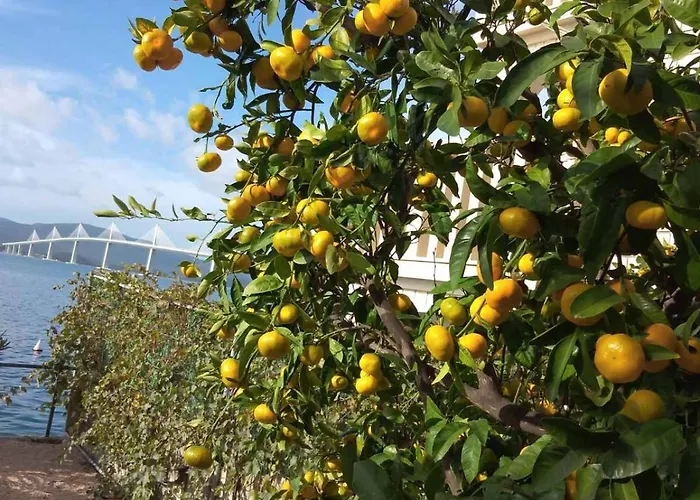 דירה Nedjeljka קלק